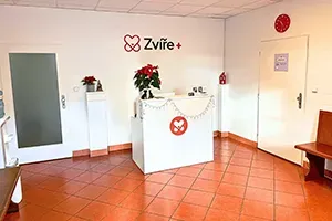 Klidná čekárna